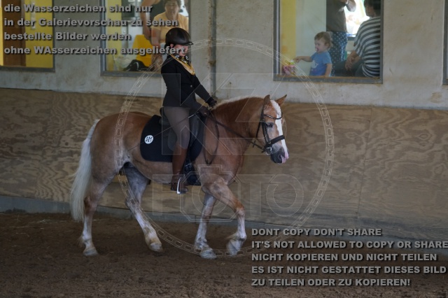 s_K3F03484.JPG